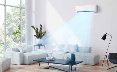 Trends & Ideas